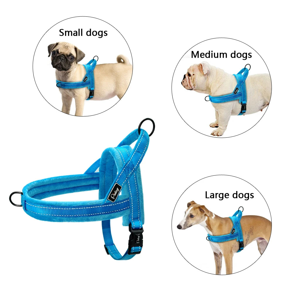 Dog Harness