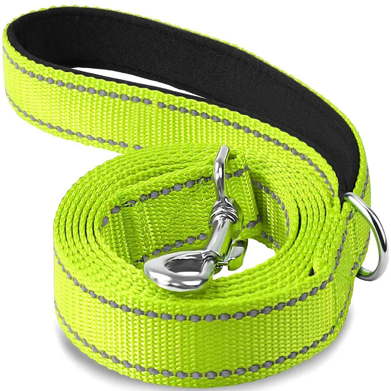 Pet Training Leash