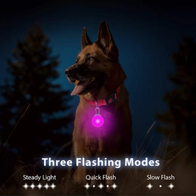 Glowing Dog Collar