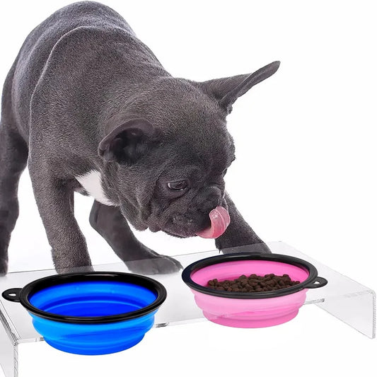 Folding Pet Bowl