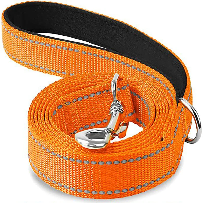 Pet Training Leash