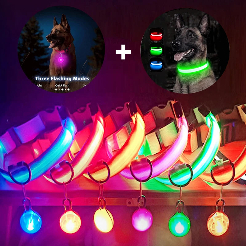 Glowing Dog Collar