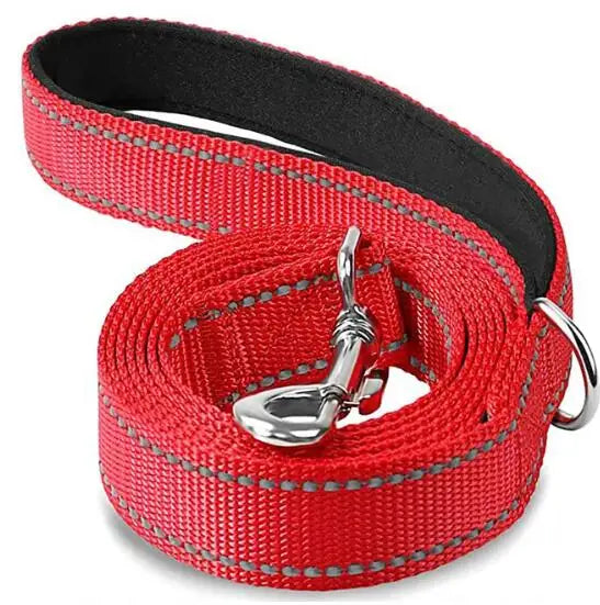 Pet Training Leash