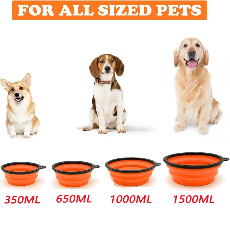 Folding Pet Bowl