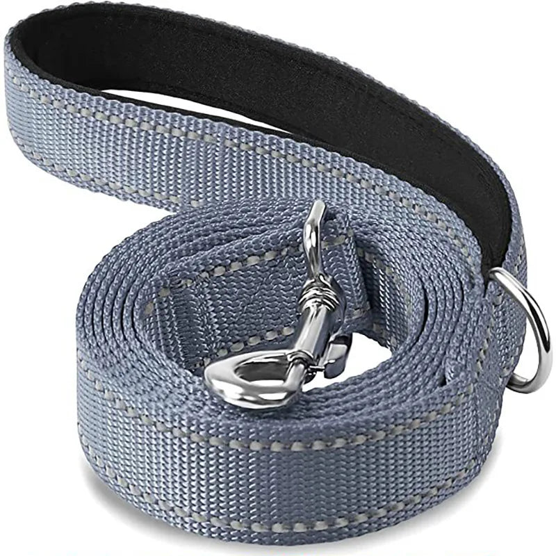 Pet Training Leash