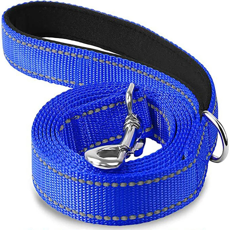 Pet Training Leash