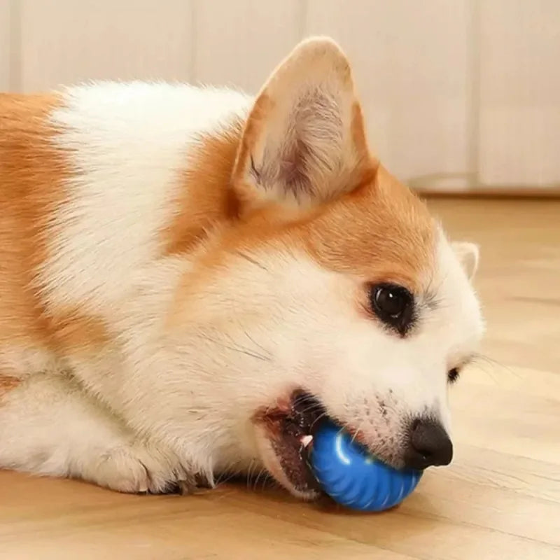 Bouncing Ball Toy