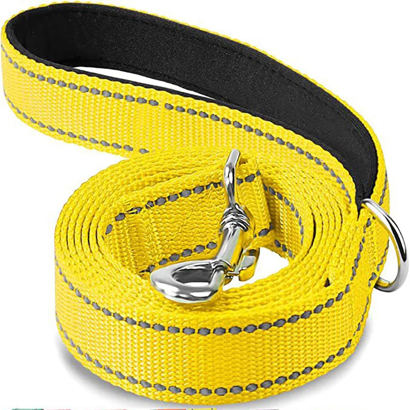 Pet Training Leash