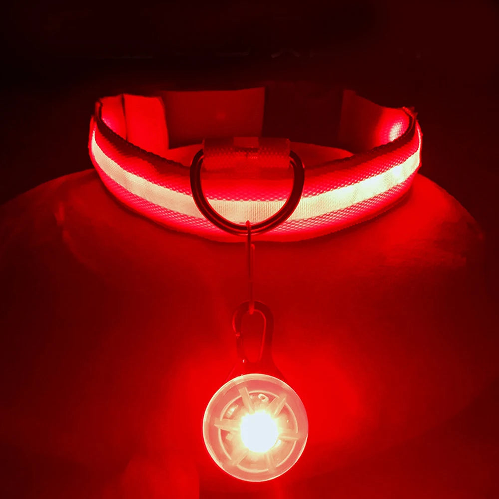 Glowing Dog Collar