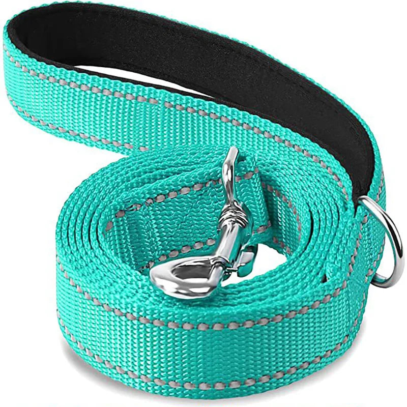 Pet Training Leash