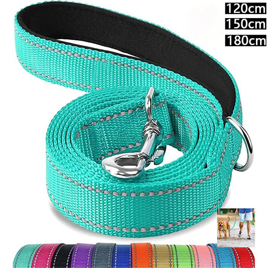 Pet Training Leash