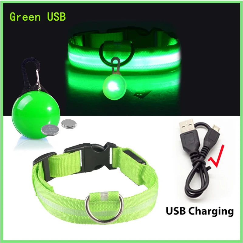 Glowing Dog Collar