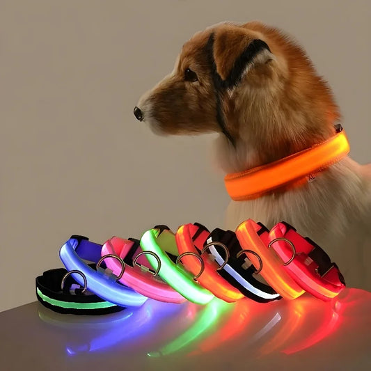 Glow In The Dark Collar